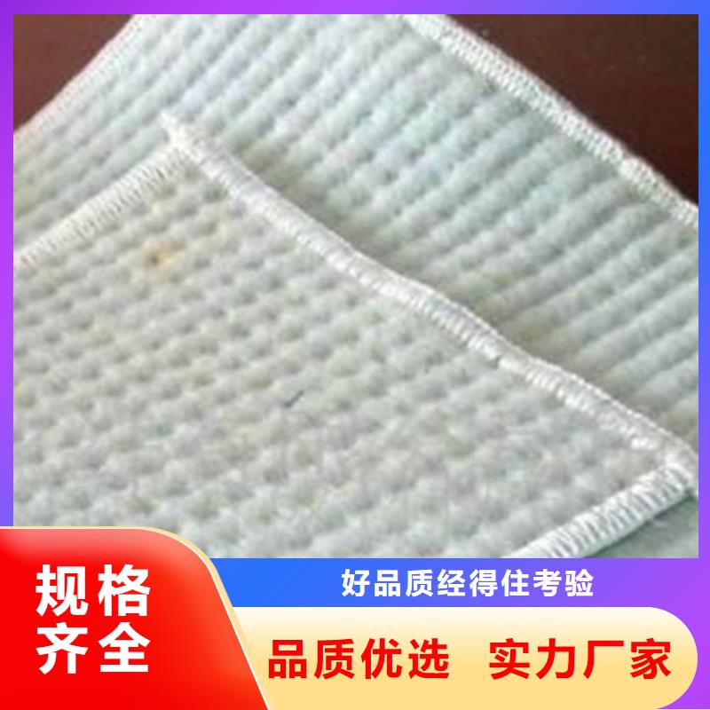 快速发货 膨润土防水毯_【防渗膜】发货及时-{中齐},重信誉厂家