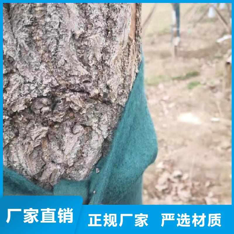 裹树布波纹管专注生产N年