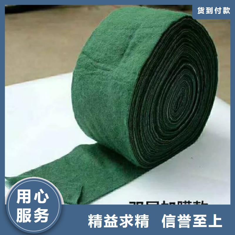 裹树布土工膜厂家规格全