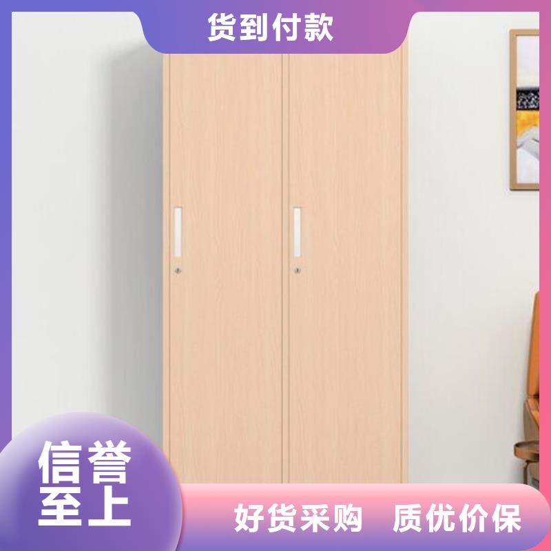 学生铁皮柜钢制单面书架