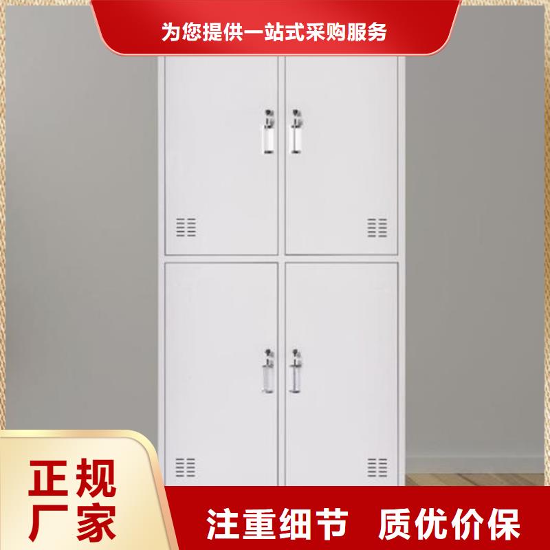 学生铁皮柜钢制单面书架