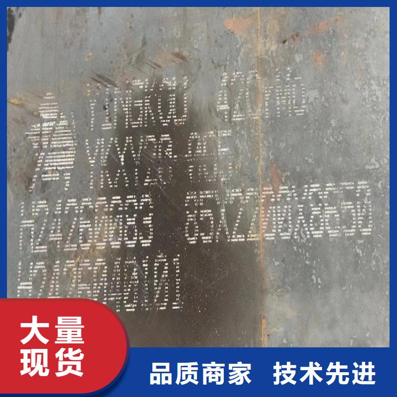 合金钢板猛板源头实体厂商