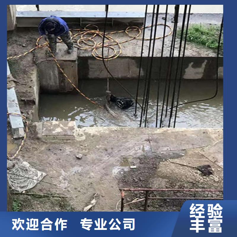 【水下,本地潜水员团队价格美丽】