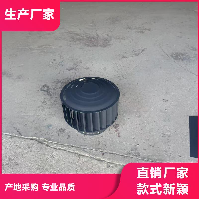 自力式风帽口碑好