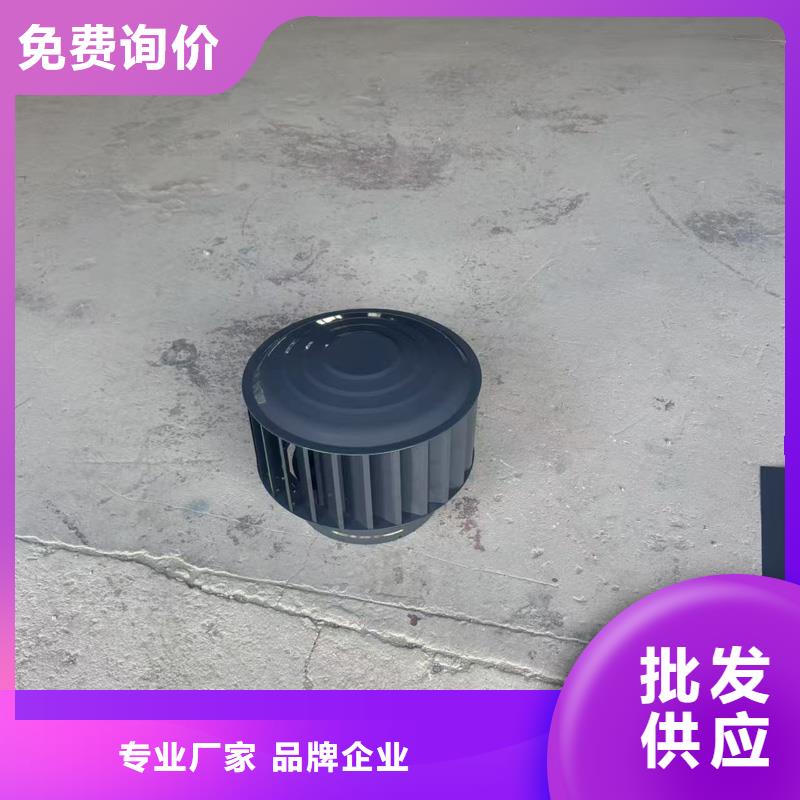 县F系列离心式风帽学校