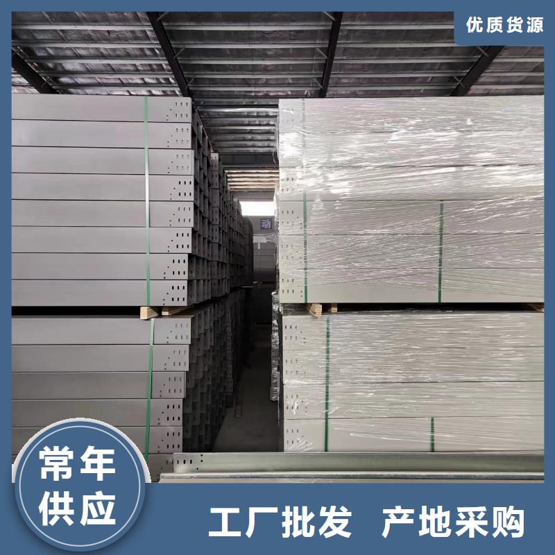 【钢制桥架桥架实体厂家支持定制】