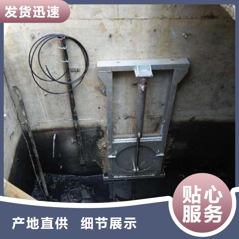 截流井闸门自有厂家