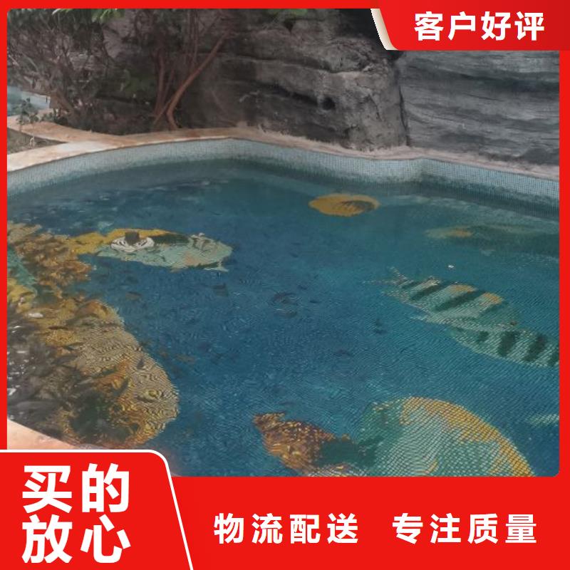 智能化泳池温泉水处理净水机组 智能化泳池温泉水处理净水机组 视频-山东省日照市|五莲|岚山|潍坊|济南|泰安|威海|临沂|淄博 智能化泳池温泉水处理净水机组 智能化泳池温泉水处理净水机组 -水浦蓝