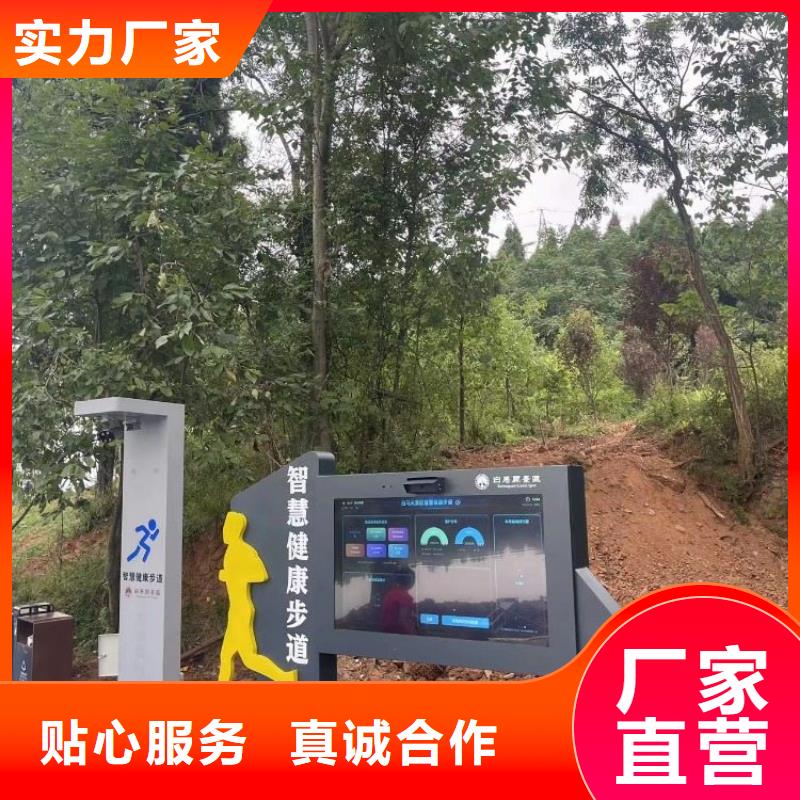 智慧-ai智慧步道价格实惠