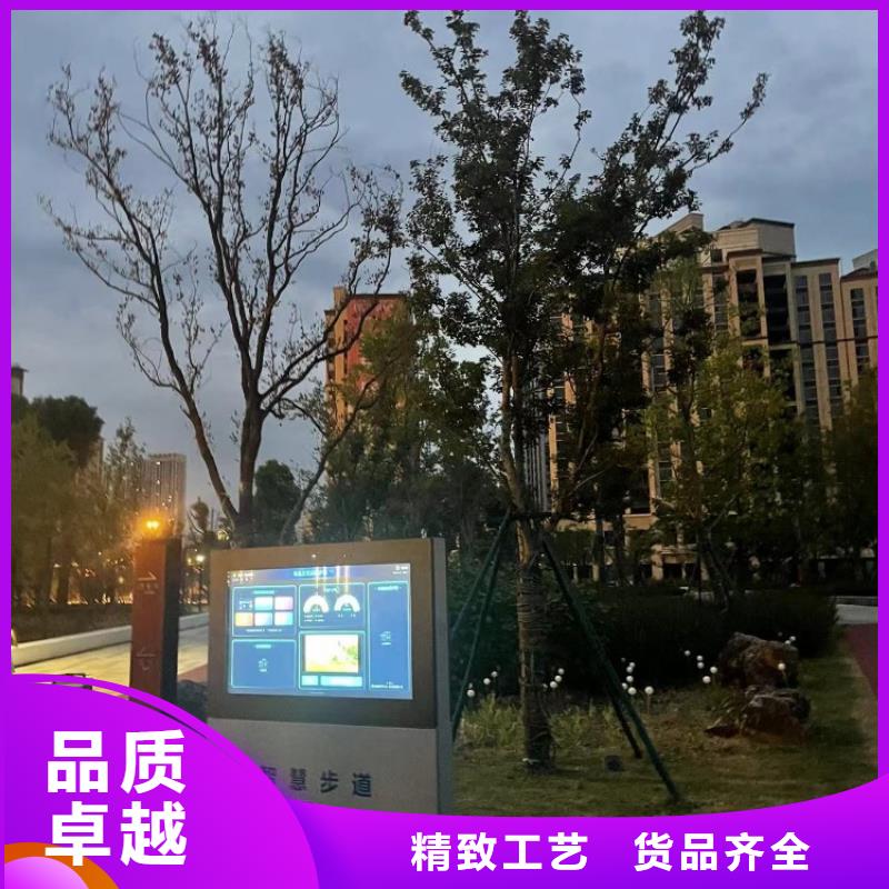 智慧【【智能跑步打卡站】】专注细节更放心