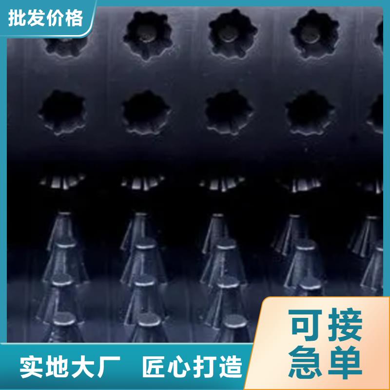 排水板植草格专注生产N年