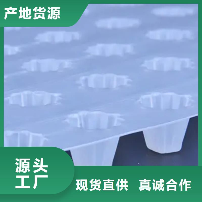 排水板,【 植草格】货源足质量好-朋联工程材料(三门峡市分公司)|覆盖地域陕县|湖滨|许昌|安阳|周口|新乡|焦作|平顶山|鹤壁