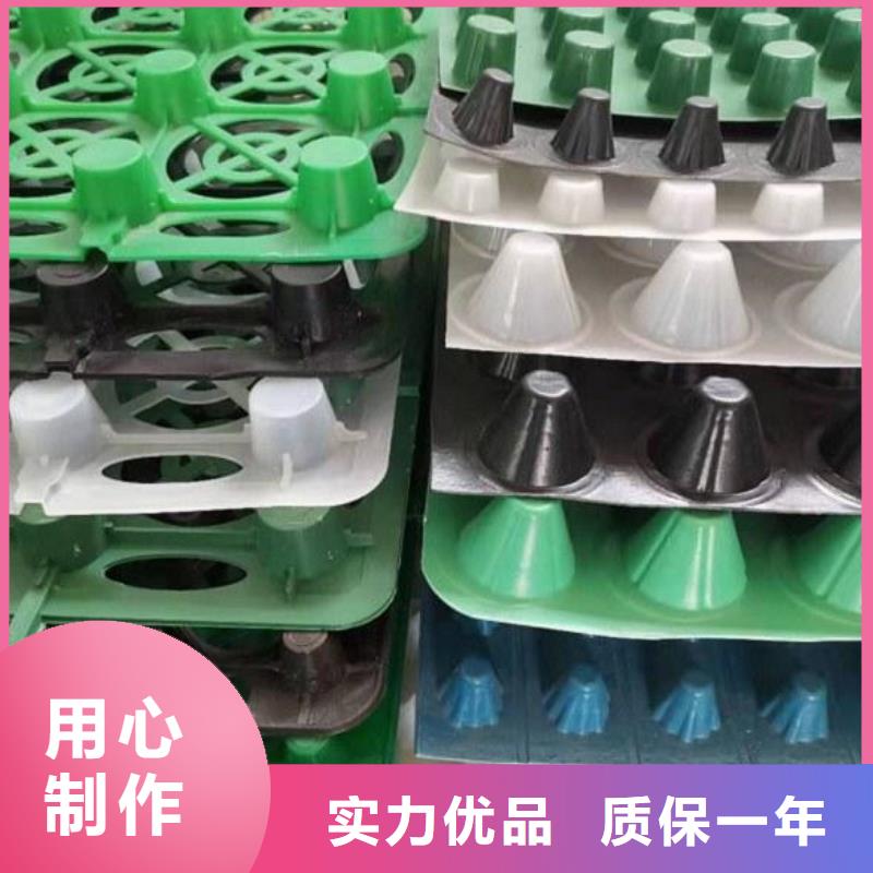 排水板,【 植草格】货源足质量好-朋联工程材料(三门峡市分公司)|覆盖地域陕县|湖滨|许昌|安阳|周口|新乡|焦作|平顶山|鹤壁