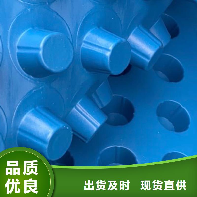 排水板,【 植草格】货源足质量好-朋联工程材料(三门峡市分公司)|覆盖地域陕县|湖滨|许昌|安阳|周口|新乡|焦作|平顶山|鹤壁