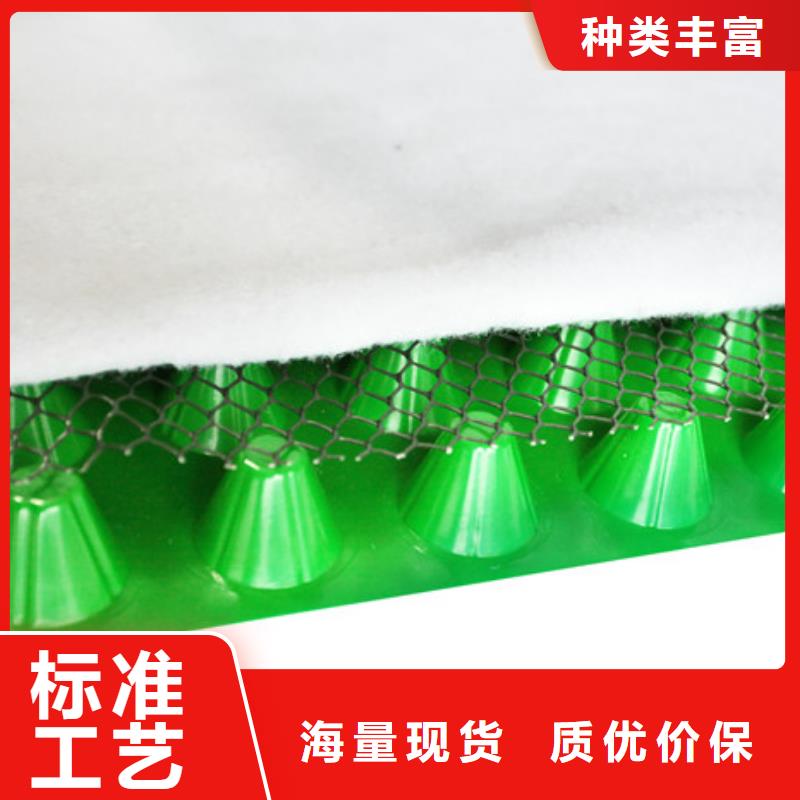 排水板防护虹吸排水收集系统经销商