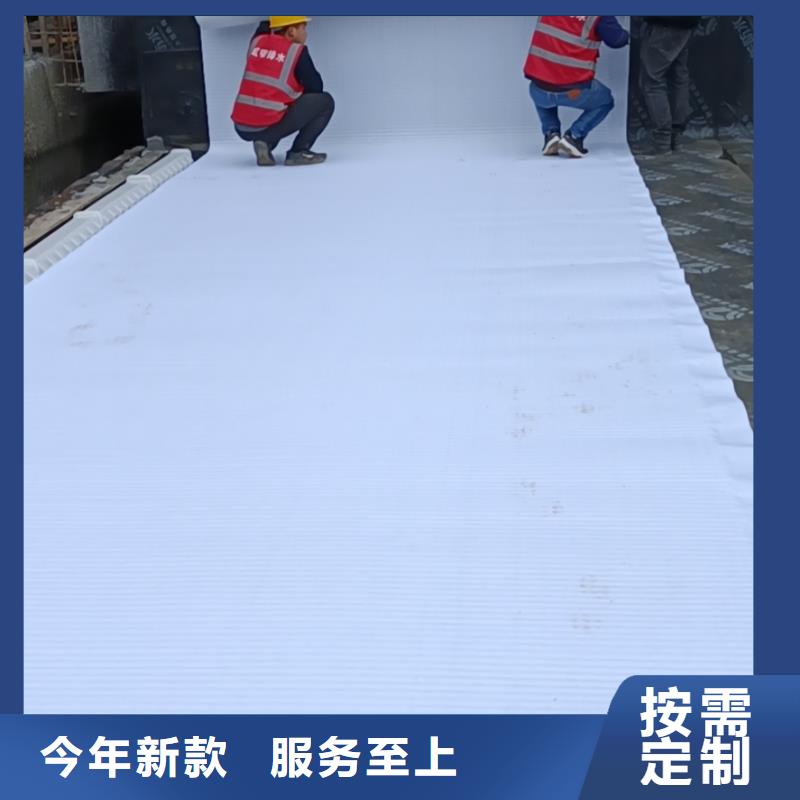 虹吸排水植草格厂家直接面向客户
