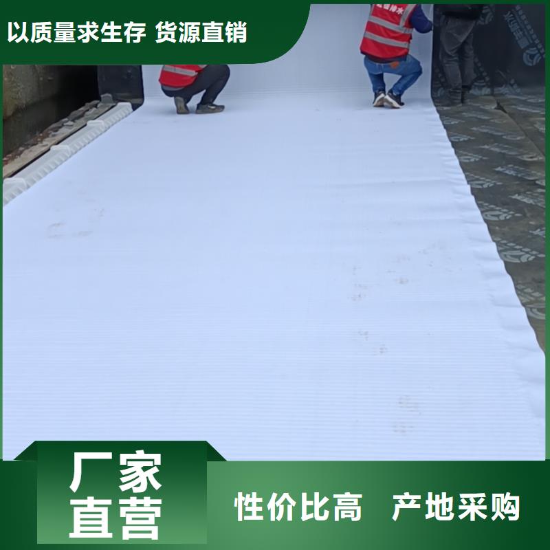 型号全价格低虹吸排水 【水泥化粪池】发货迅速