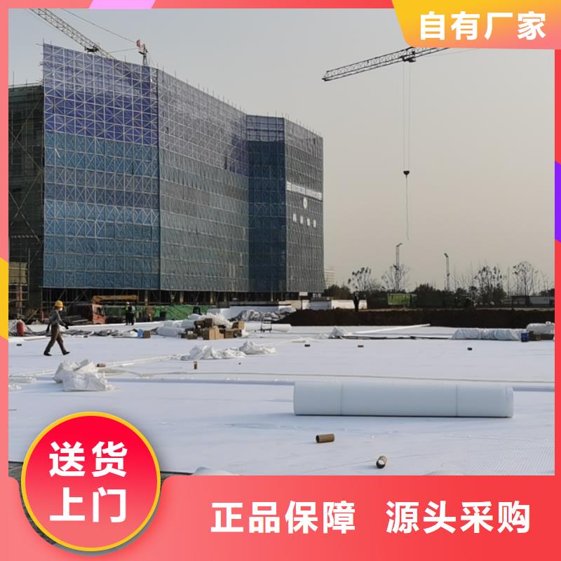 |虹吸排水 【水泥化粪池】发货迅速-{朋联}