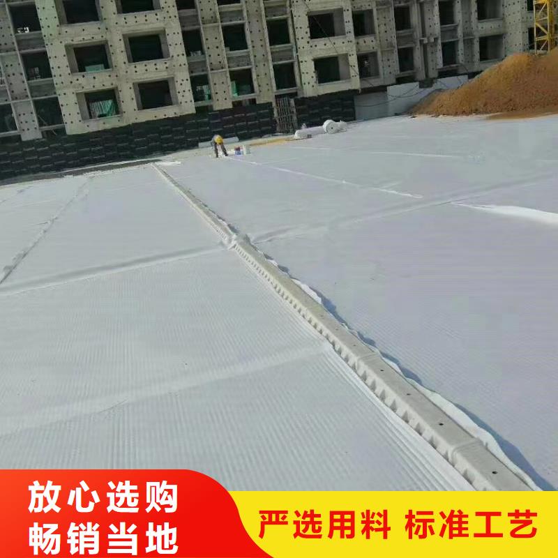 【虹吸排水】化粪池水泥实体诚信经营