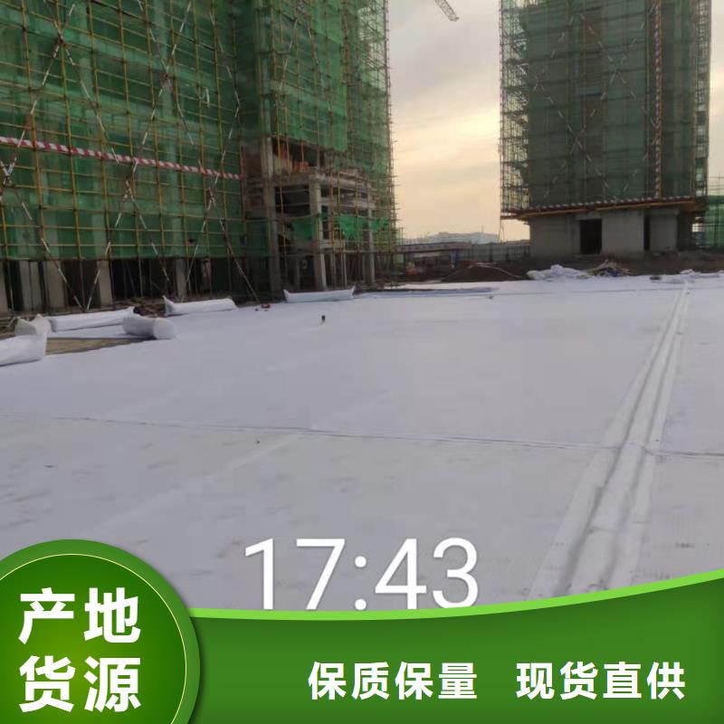 【虹吸排水】化粪池水泥实体诚信经营