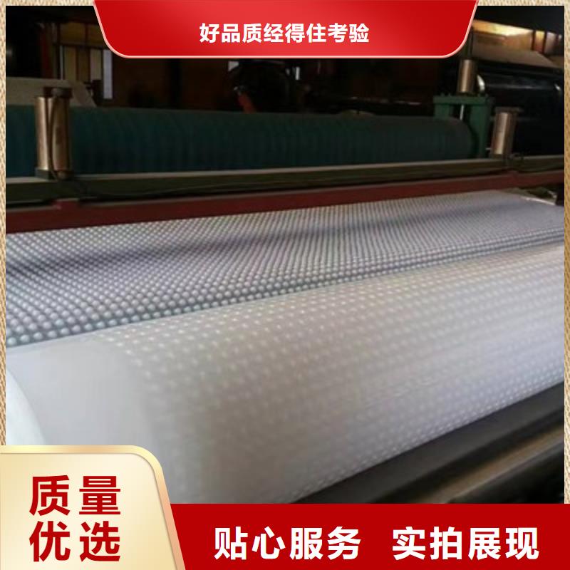 品质信得过【塑料排水板】 水泥化粪池诚信经营质量保证-保质保量-朋联工程材料有限公司