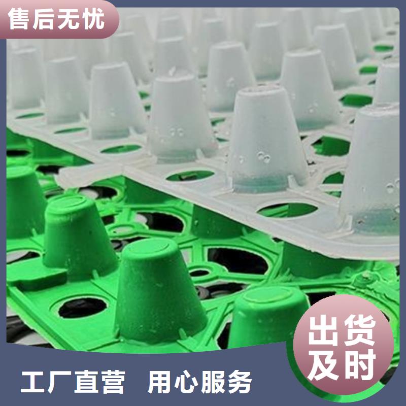 品质信得过【塑料排水板】 水泥化粪池诚信经营质量保证-保质保量-朋联工程材料有限公司