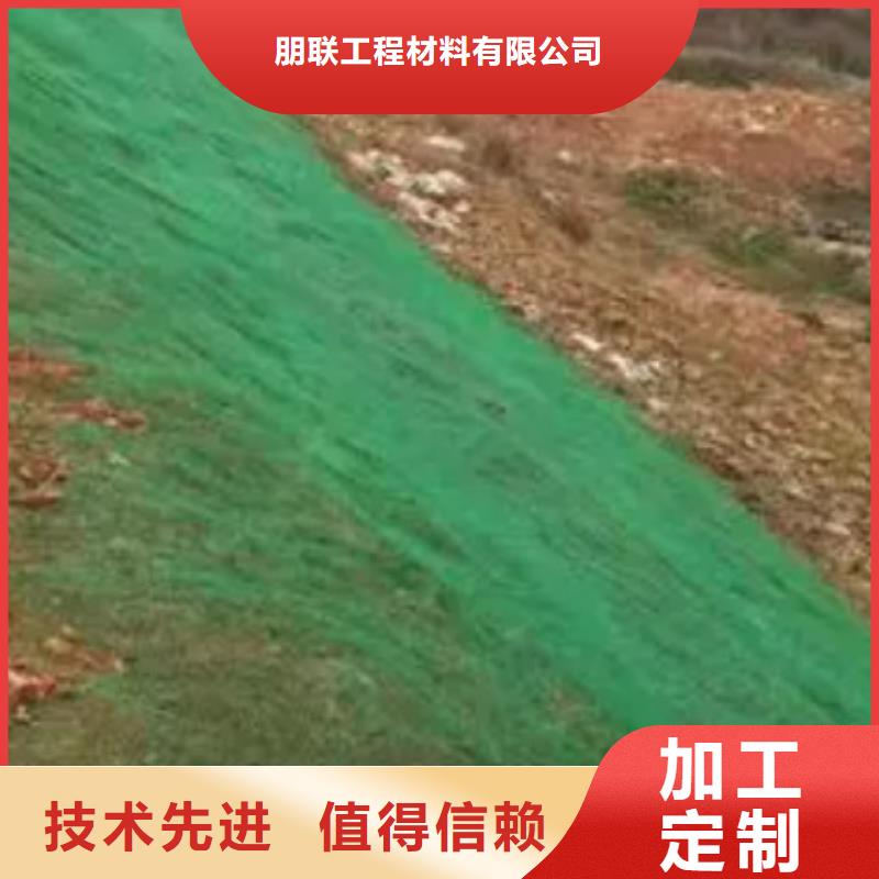 三维植被网_植草格为您精心挑选