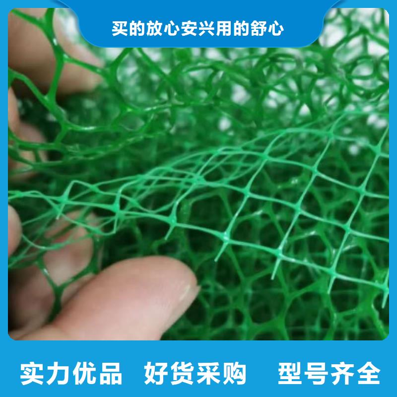 三维植被网_水泥化粪池同行低价