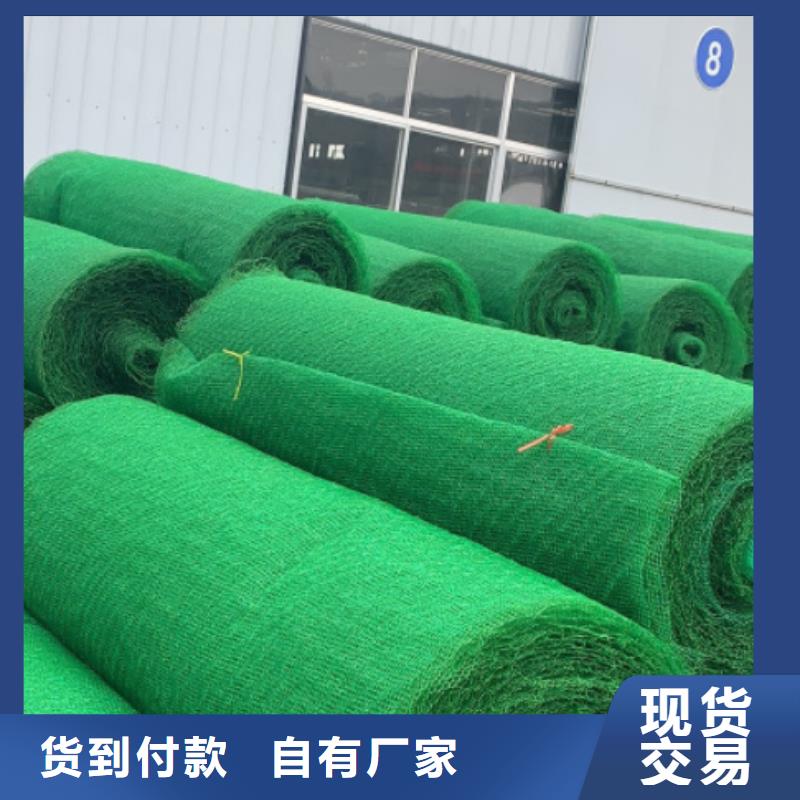 三维植被网防护虹吸排水收集系统发货迅速