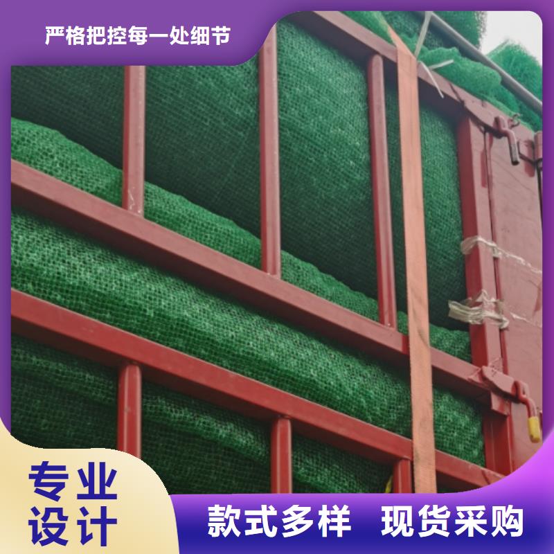 诚信经营现货现发【 三维植被网防护虹吸排水收集系统多种工艺】
