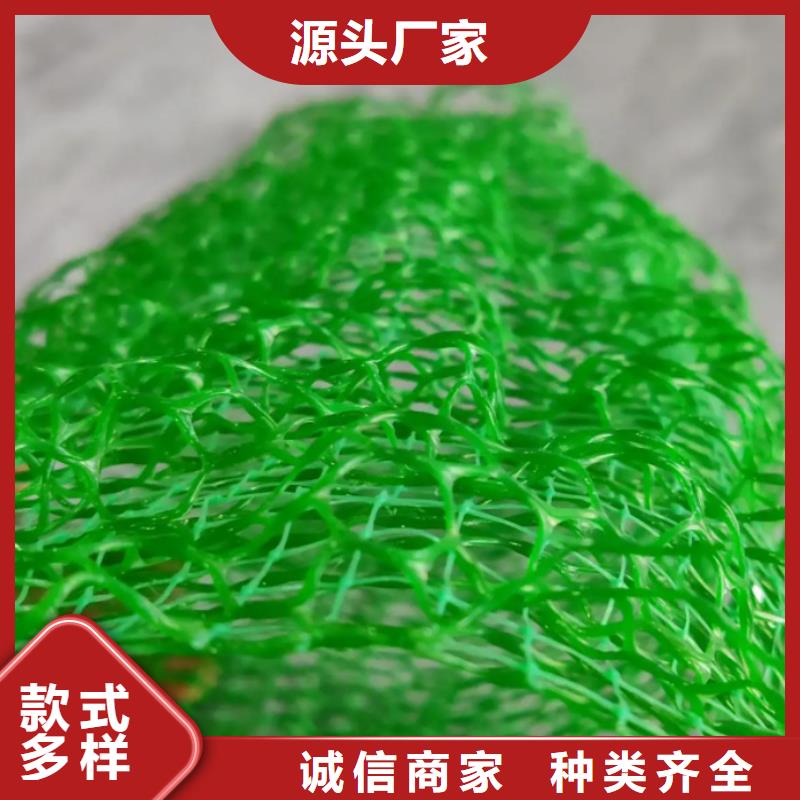 【 三维植被网防护虹吸排水收集系统多种工艺】同城货源