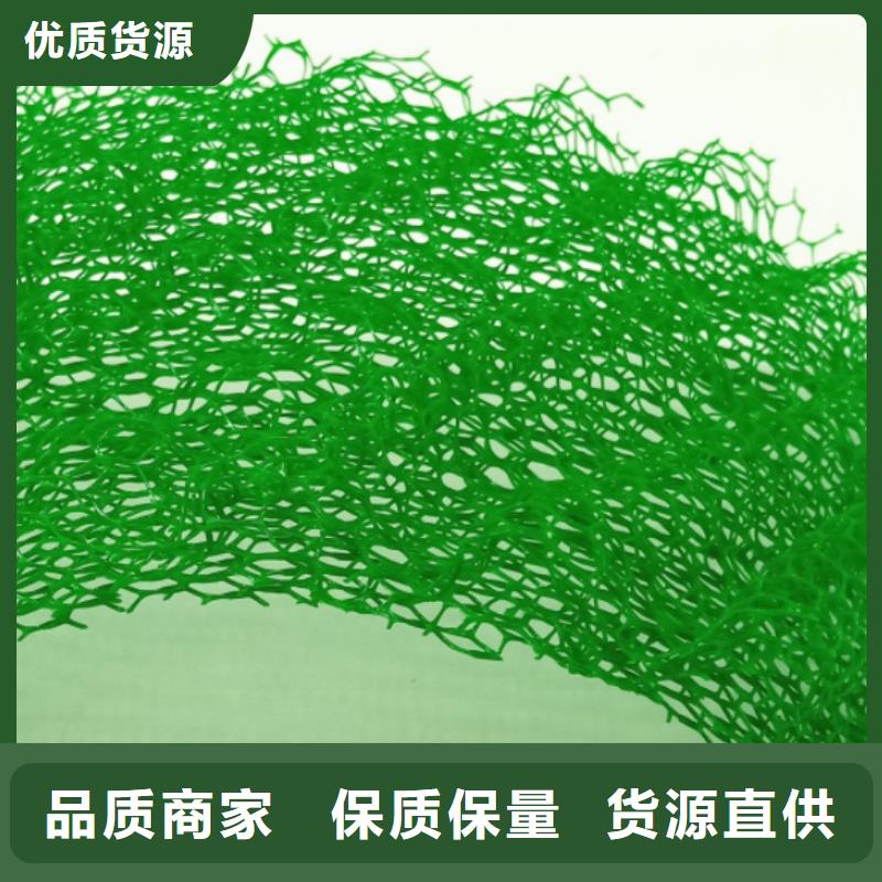 【 三维植被网防护虹吸排水收集系统多种工艺】同城货源