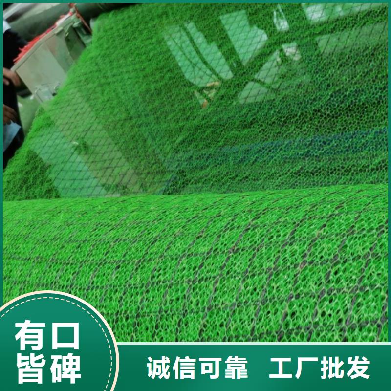 诚信经营现货现发【 三维植被网防护虹吸排水收集系统多种工艺】