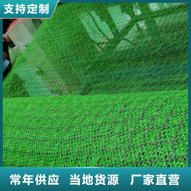 【 三维植被网防护虹吸排水收集系统多种工艺】同城货源