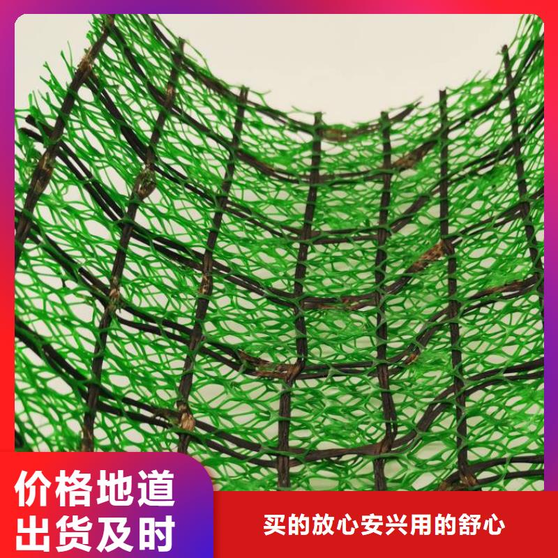 诚信经营现货现发【 三维植被网防护虹吸排水收集系统多种工艺】