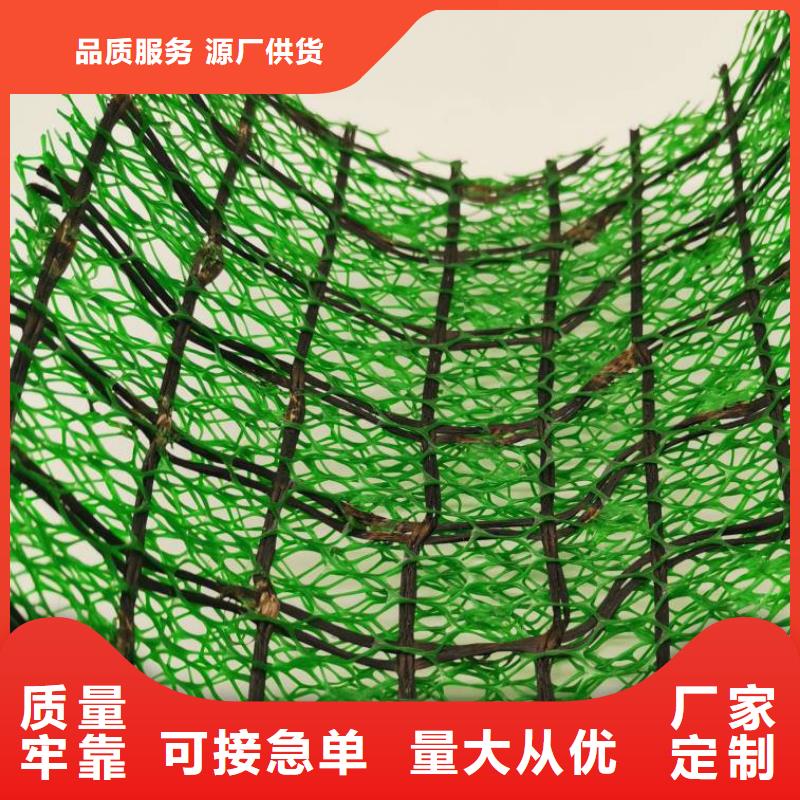 【 三维植被网防护虹吸排水收集系统多种工艺】同城货源
