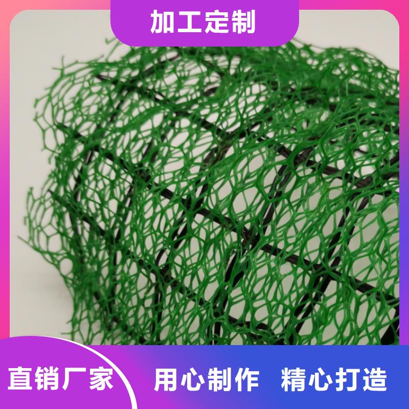 三维植被网植草格品质不将就