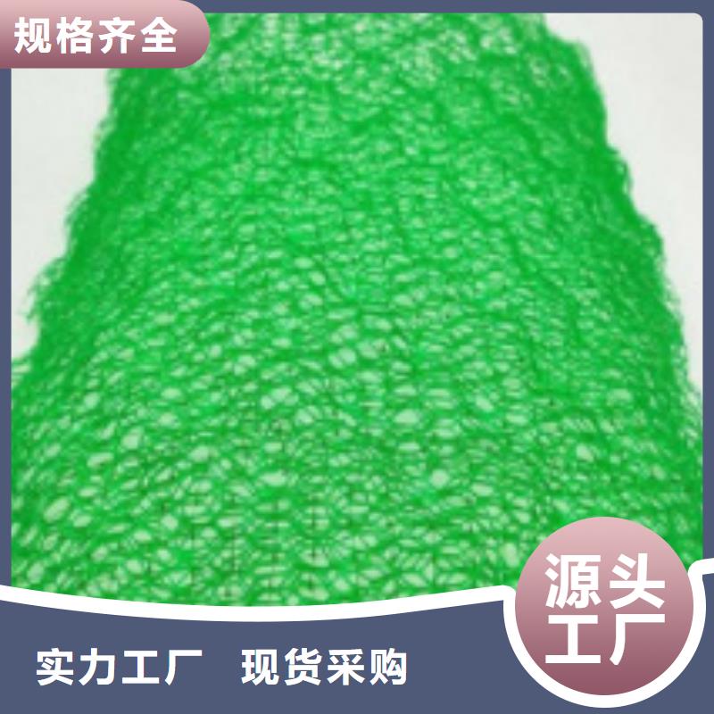 【 三维植被网防护虹吸排水收集系统多种工艺】同城货源