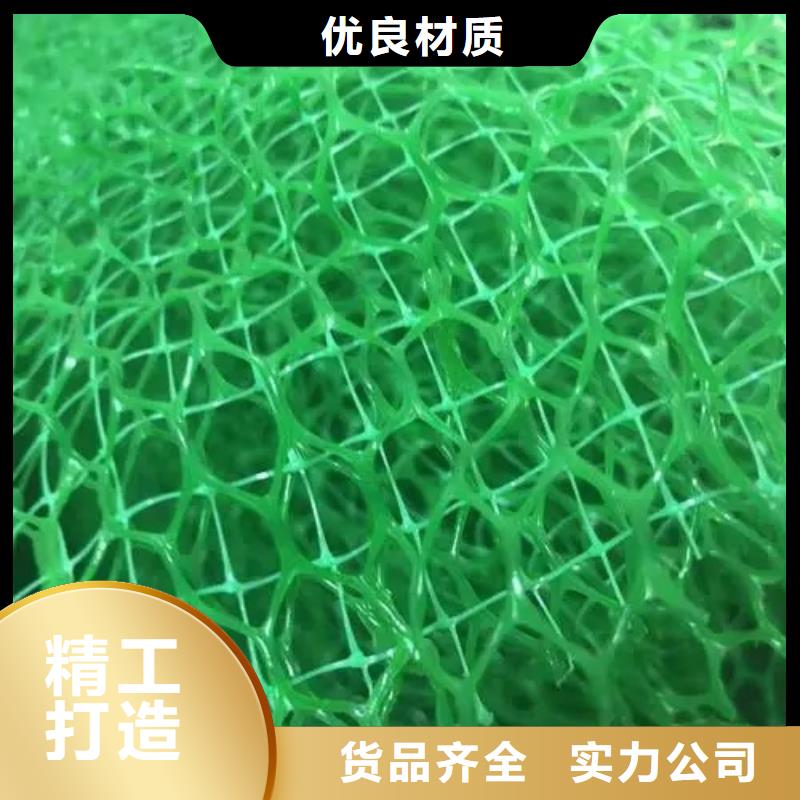 三维植被网防护虹吸排水收集系统厂家实力雄厚