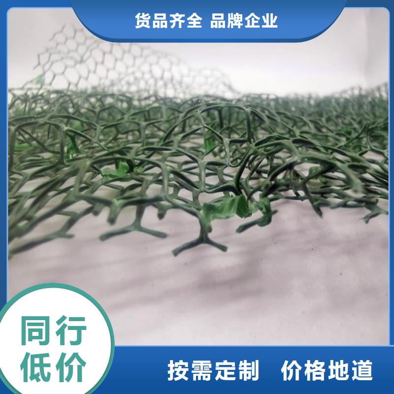 诚信经营现货现发【 三维植被网防护虹吸排水收集系统多种工艺】