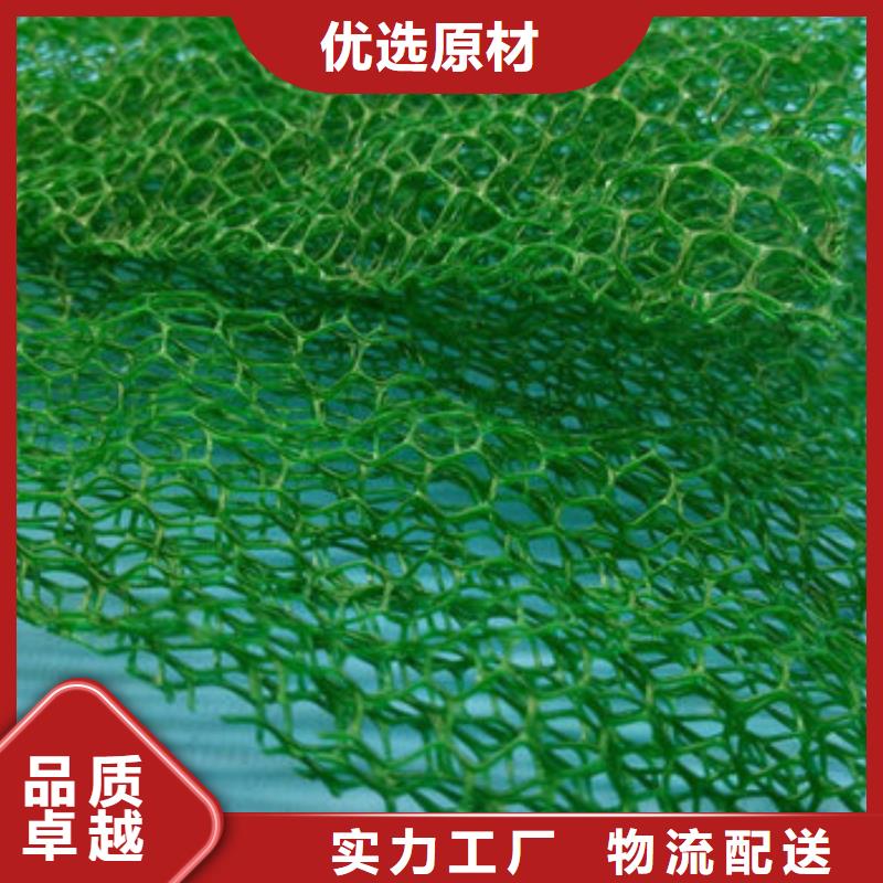 三维植被网防护虹吸排水收集系统发货迅速