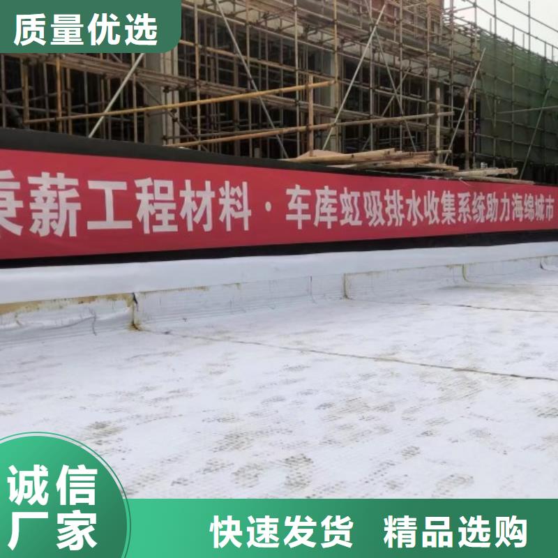 排水板三维植被网价格实惠