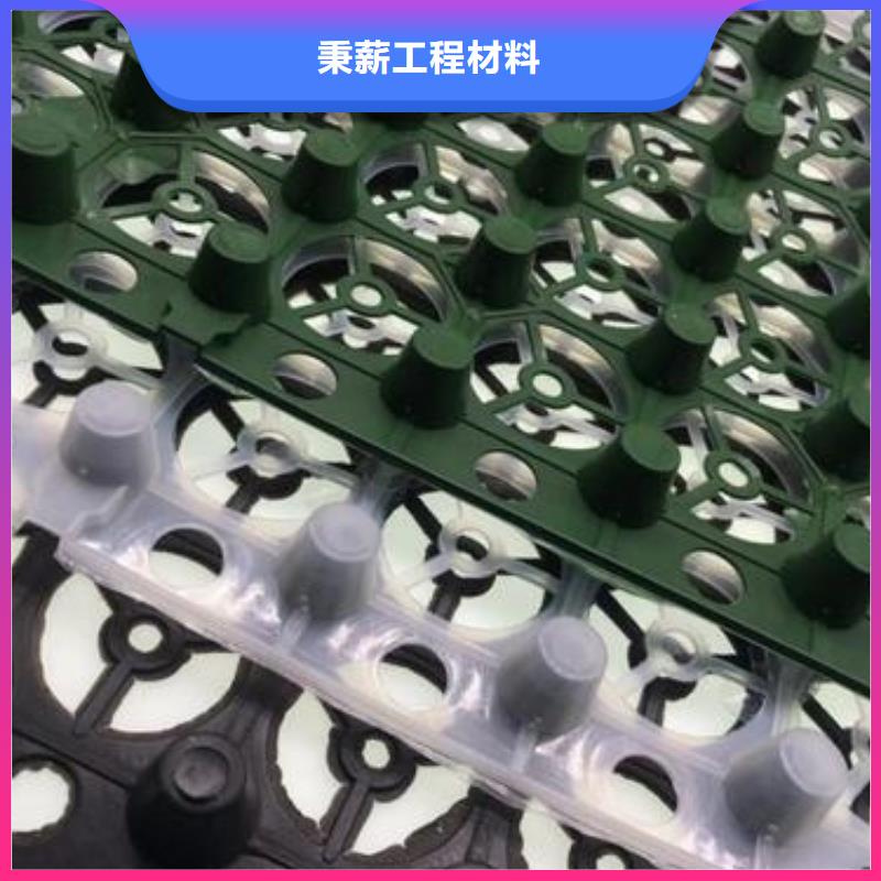 排水板 滤水板大量现货供应