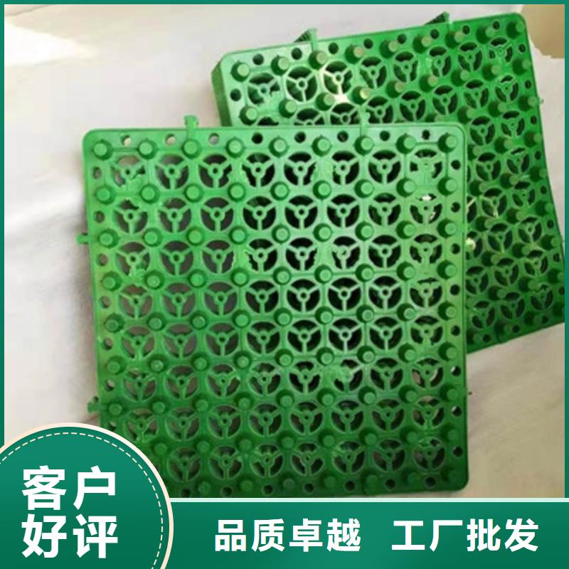 排水板 防水毯产地直供