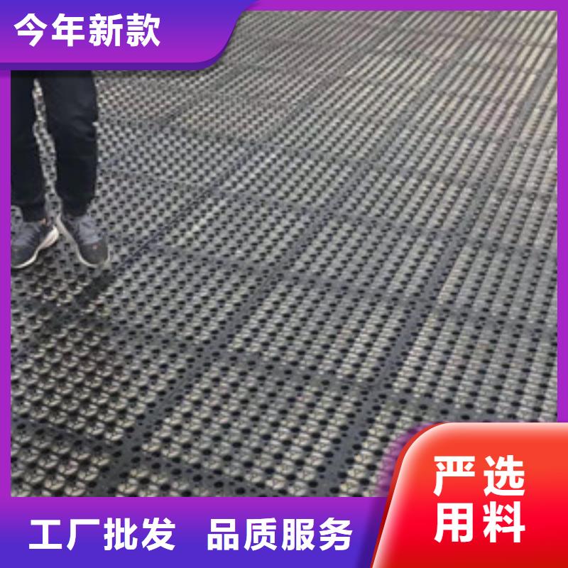 排水板土工膜高品质现货销售