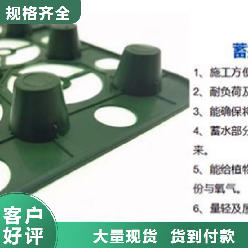 排水板 蓄水板现货齐全售后无忧