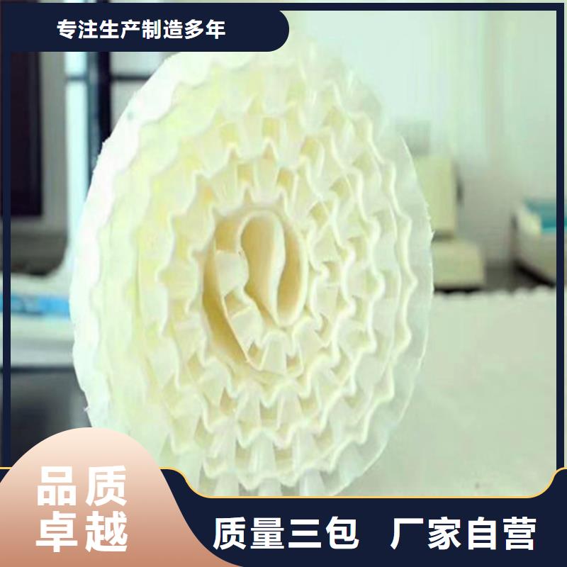排水板-土工格栅现货满足大量采购