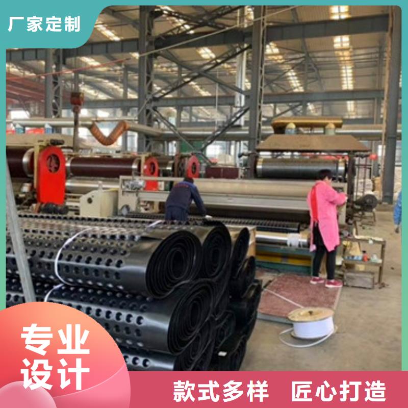 排水板植草格技术先进