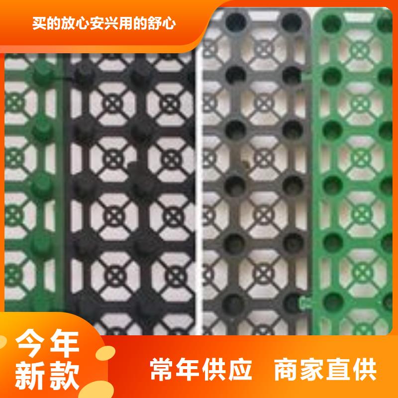 排水板蓄水板订购