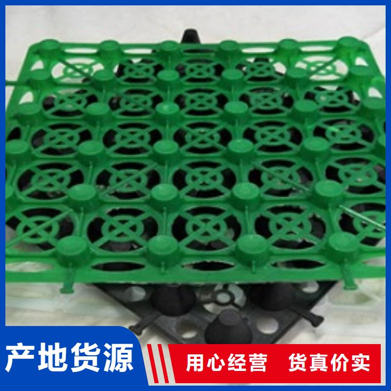 排水板植草格现货采购